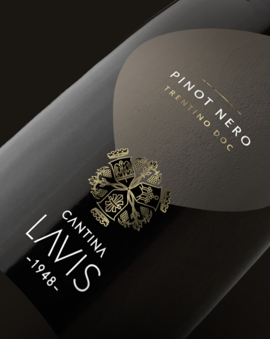 plus-pills-brand-design-cantina-lavis-bottiglia